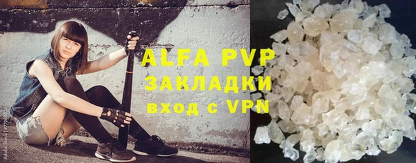 СК Алексин