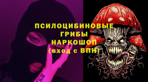 гидра Алзамай
