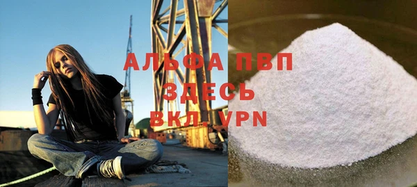СК Алексин