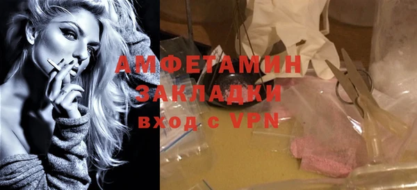 СК Алексин