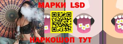 сатива Кандалакша