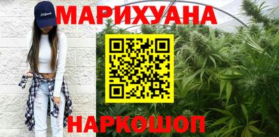 сатива Кандалакша