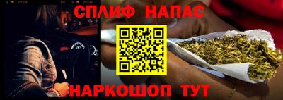 сатива Кандалакша