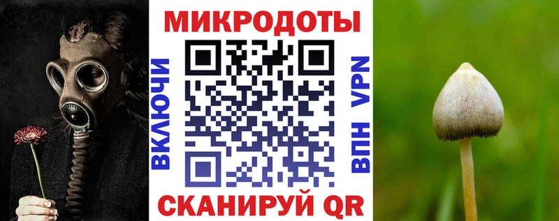 Псилоцибиновые грибы ЛСД  Курчалой 