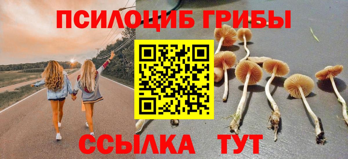 Псилоцибиновые грибы мухоморы Курчалой