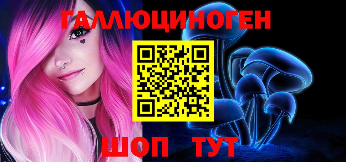 Галлюциногенные грибы Psilocybine cubensis  Вход с VPN  Курчалой 